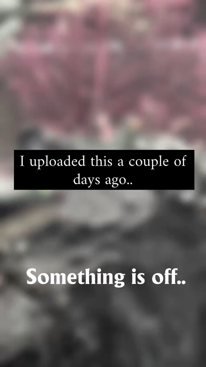 Instagram post by @myjungletherapy_