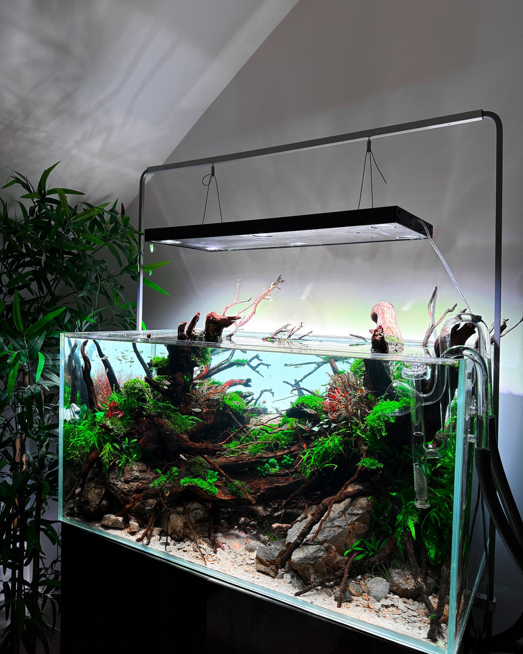 Instagram post by @jackfryerscapes
